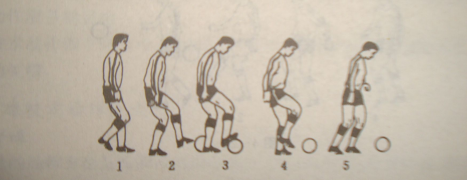 【校本教材】【足球】 2.5停球